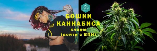 винт Майский