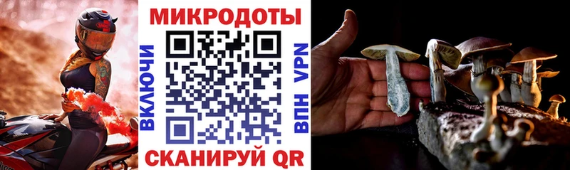 Галлюциногенные грибы ЛСД  Купить где  Кубинка 